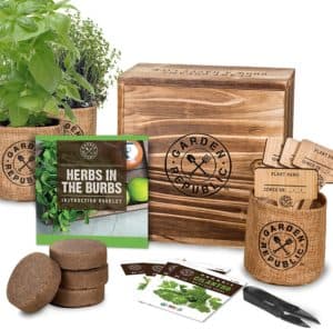 vegan-gifts-Indoor Herb Garden Starter Kit