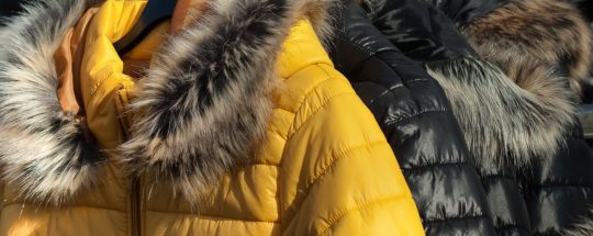 The Best Vegan Winter Coats for Women