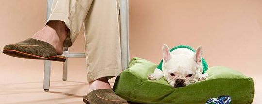 Men’s Vegan Slippers: The Best Picks and Buyer’s Guide