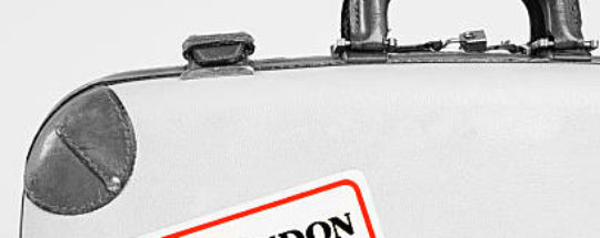 Vegan And Cruelty Free Luggage: Best 4 Picks